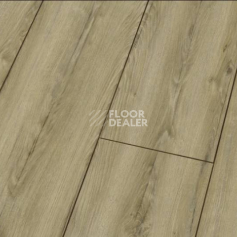 Ламинат Falquon Blue Line Wood 8mm D3545 WINZER OAK фото 1 | FLOORDEALER